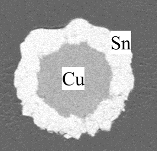 Figure 2 Core-shell particle
