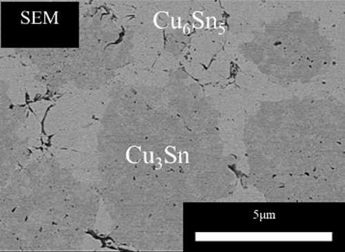 Figure 5 Cross-section SEM image of the bonding layer of the core-shell bonding material