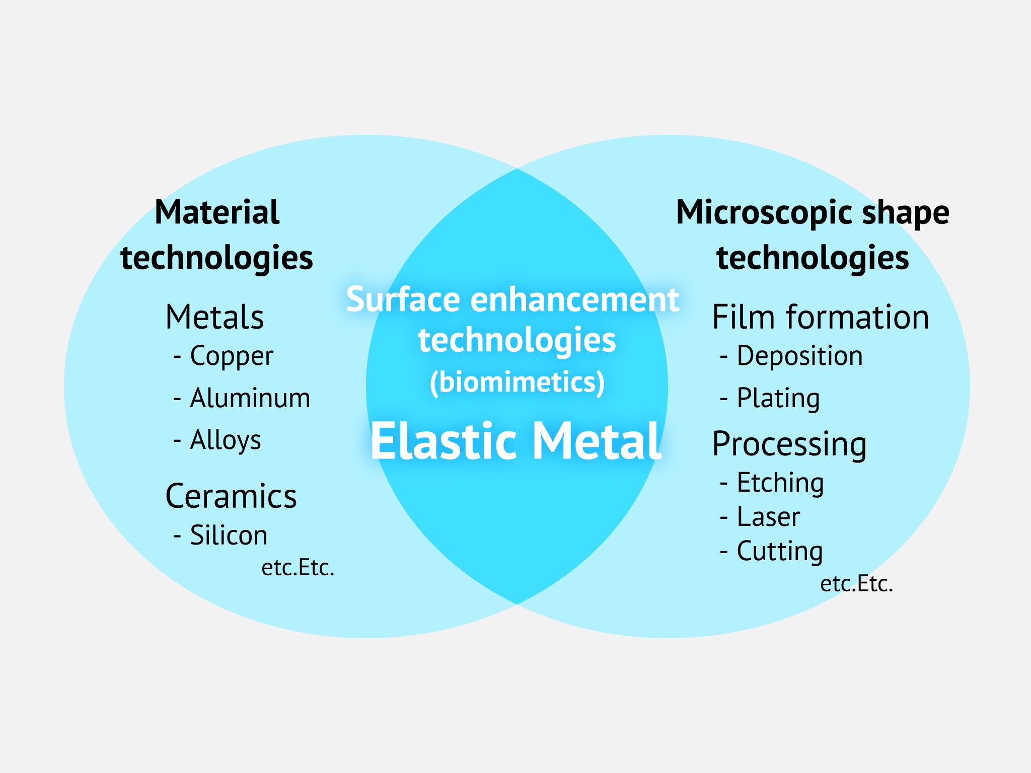 Surface enhancement technologies (biomimetics)