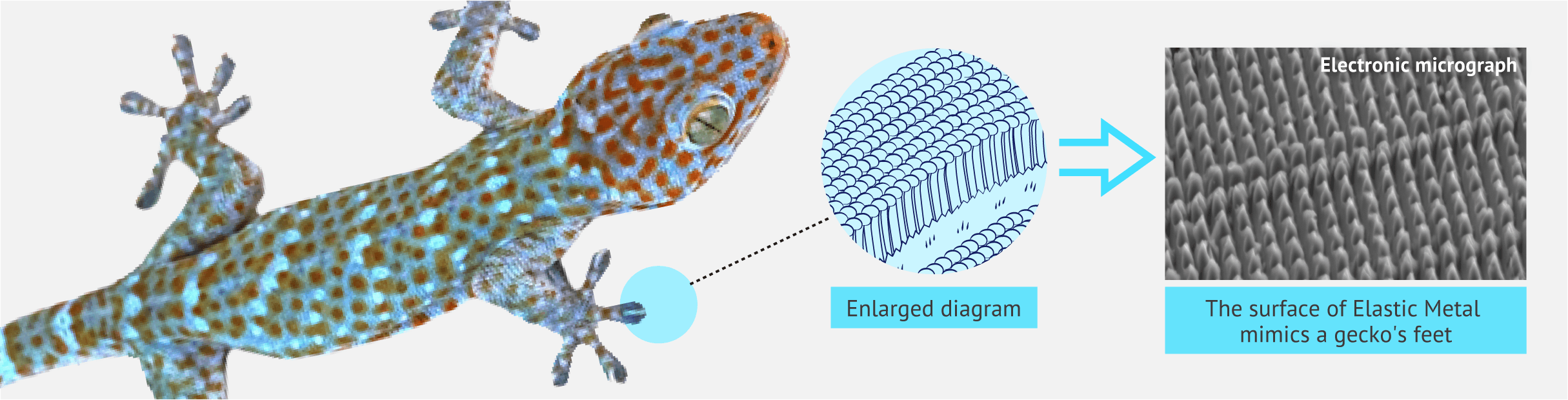 Development of Elastic MetalTM, a metallic material with the characteristics of rubber