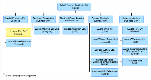 Business Structure