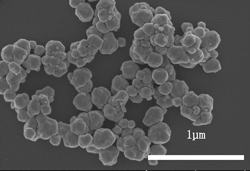 Figure 1 Submicron copper particles