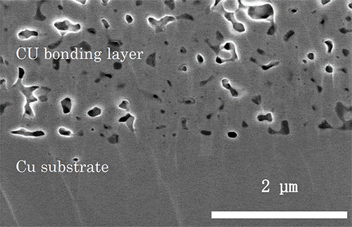 Figure 4 Cross-section SEM image of the bonding layer of the sintering copper bonding material