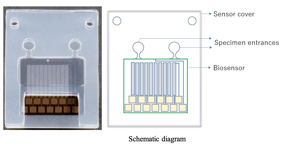 Newly developed biosensor