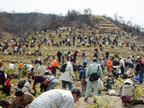 マテリアルの森～直島 植樹祭