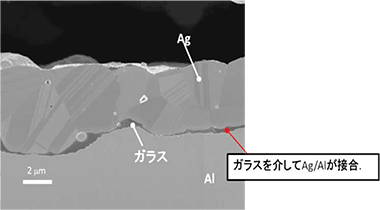 Al/Ag接合部の断面観察