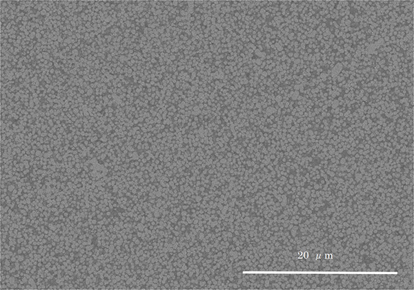 図3：ナノコンポジット断面図（例）