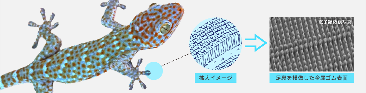 金属ゴムの技術サイト