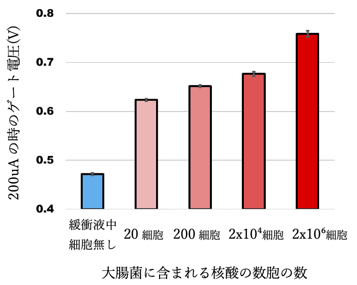 図2　大腸菌検出結果