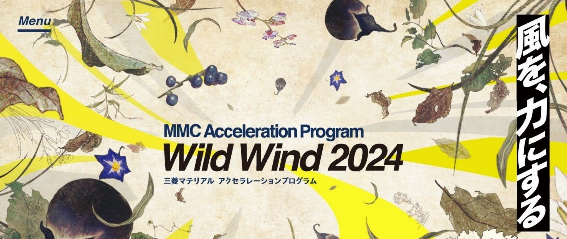 Wild Wind 2024