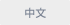 中文