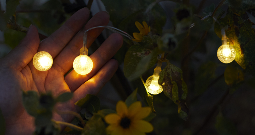 植物の生育環境から得られる微弱な電気を活用した｜植物発電｜三菱マテリアルの新規事業創出ブランド［SU］プロジェクト紹介
